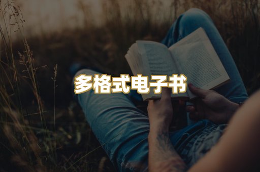 PDF电子书下载